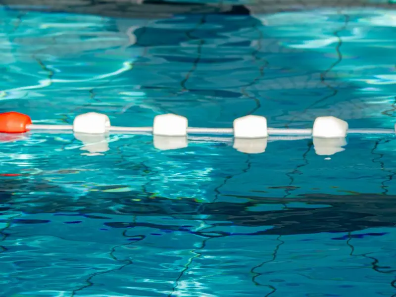 A serene pool catching sunlit ripples